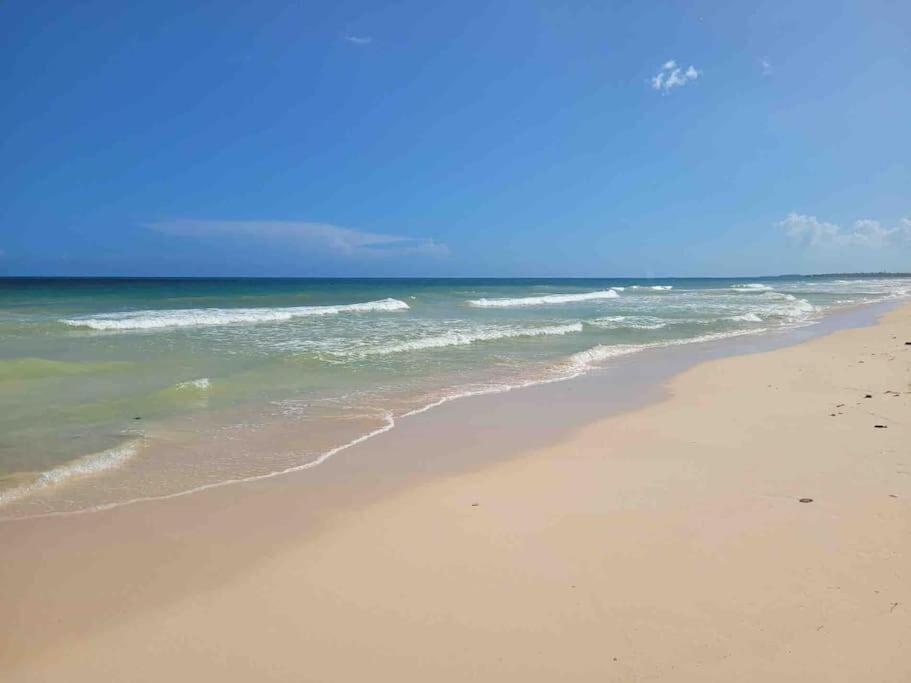 Luxury 5-Br Beachfront Home In Tulum Casa Sofia Gato Экстерьер фото